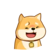 AKIO柴犬VOL.2 11