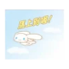 玉桂狗 23