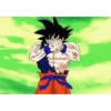 Pako. Goku King 24