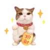 喵星人語錄 23