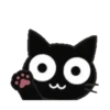 ‍ Monochrome cat ‍  MOV 20