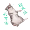 喵星人語錄 24