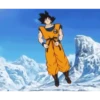 Pako. Goku King 28