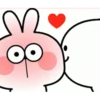 rabbit 30