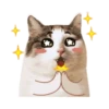 瘋狂滴滴 5