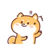 Shiba Inu Dogs (Mov) 5