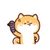 Shiba Inu Dogs (Mov) 6