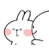 TENDER RABBIT 5