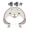 GIF - Miss Very Rabbit 5