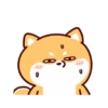 Shiba Inu Dogs (Mov) 8