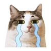 瘋狂滴滴 9