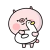 ️Pig and bird   MOV 5
