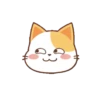Orange Cat 2 6