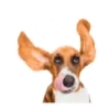 Puppy Love 2 Movi 8