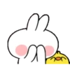 TENDER RABBIT 8
