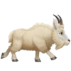 ANIMALES mov. 10