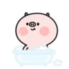 ️Pig and bird   MOV 7