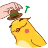 Yellow boy  MOV 8