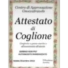 Dissing meme italiani 6
