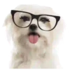 Puppy Love 2 Movi 9