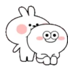 TENDER RABBIT 9