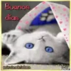 BUENOS DIAS 2 10