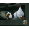 PINGÜI 5