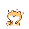 Shiba Inu Dogs (Mov) 12