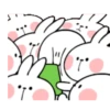 TENDER RABBIT 11