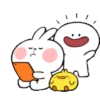 TENDER RABBIT 12