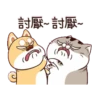 肖阿咪Ami 8 國際無字版 10
