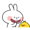 TENDER RABBIT 13