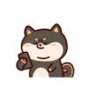Shiba Inu Dogs (Mov) 15