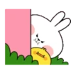 TENDER RABBIT 2 12