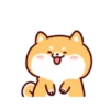 Shiba Inu Dogs (Mov) 16
