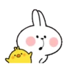 TENDER RABBIT 2 13