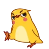 Yellow boy  MOV 11