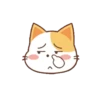 Orange Cat 2 9