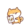 Shiba Inu Dogs (Mov) 17