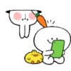 TENDER RABBIT 17