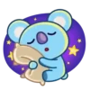 BT21 13