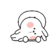 TENDER RABBIT 18