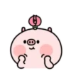 ️Pig and bird   MOV 12