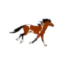 ANIMALES mov. 11
