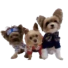 Puppy Love 2 Movi 15