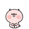 ️Pig and bird   MOV 13
