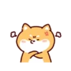 Shiba Inu Dogs (Mov) 20