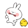 TENDER RABBIT 19