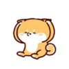 Shiba Inu Dogs (Mov) 22