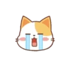 Orange Cat 2 15